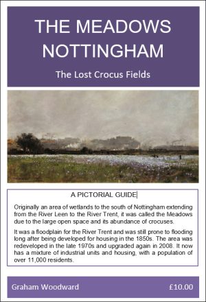 The Meadows Nottingham - The Lost Crocus Fields