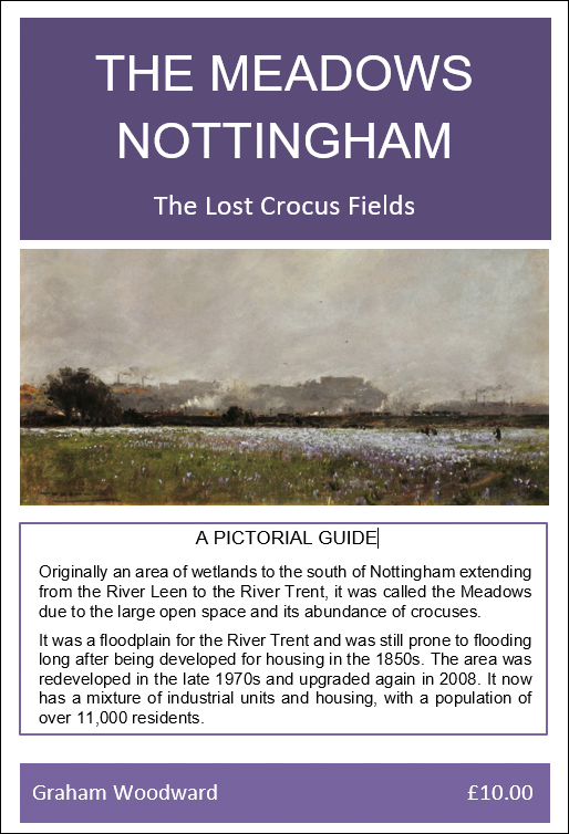The Meadows Nottingham - The Lost Crocus Fields