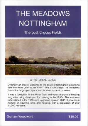 The Meadows, Nottingham - The Lost Crocus Fields